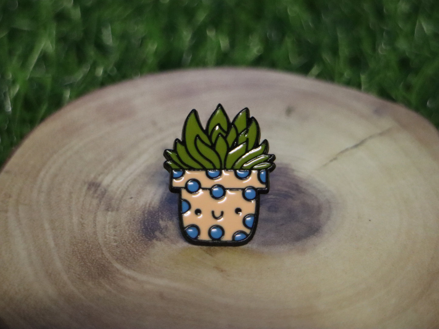 Potted Smiley Succulent Plant Pin