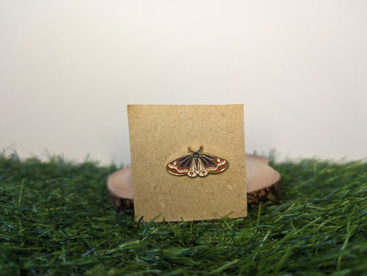 Beautiful Brown Butterfly Pin