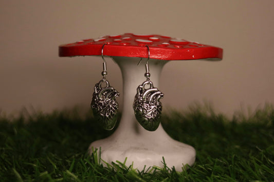 Silver Heart Anatomical Earrings
